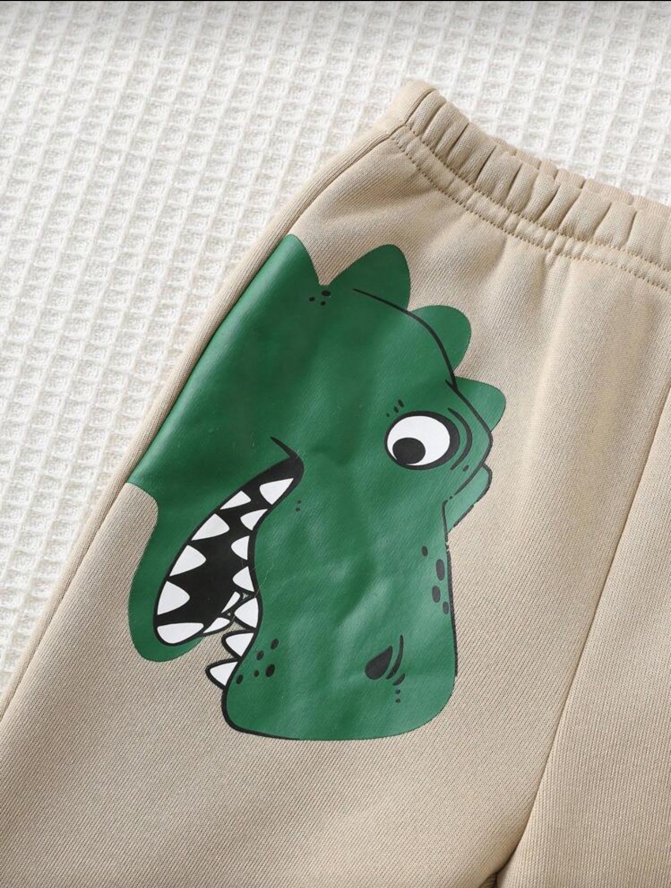 Cozy Pixies Baby Boy Autumn Winter Dinosaur Hooded Jacket and Elastic Waist Pants Set